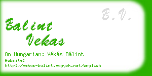 balint vekas business card